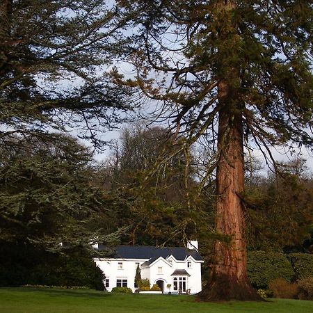 Ynyshir Restaurant And Rooms Machynlleth Exterior foto