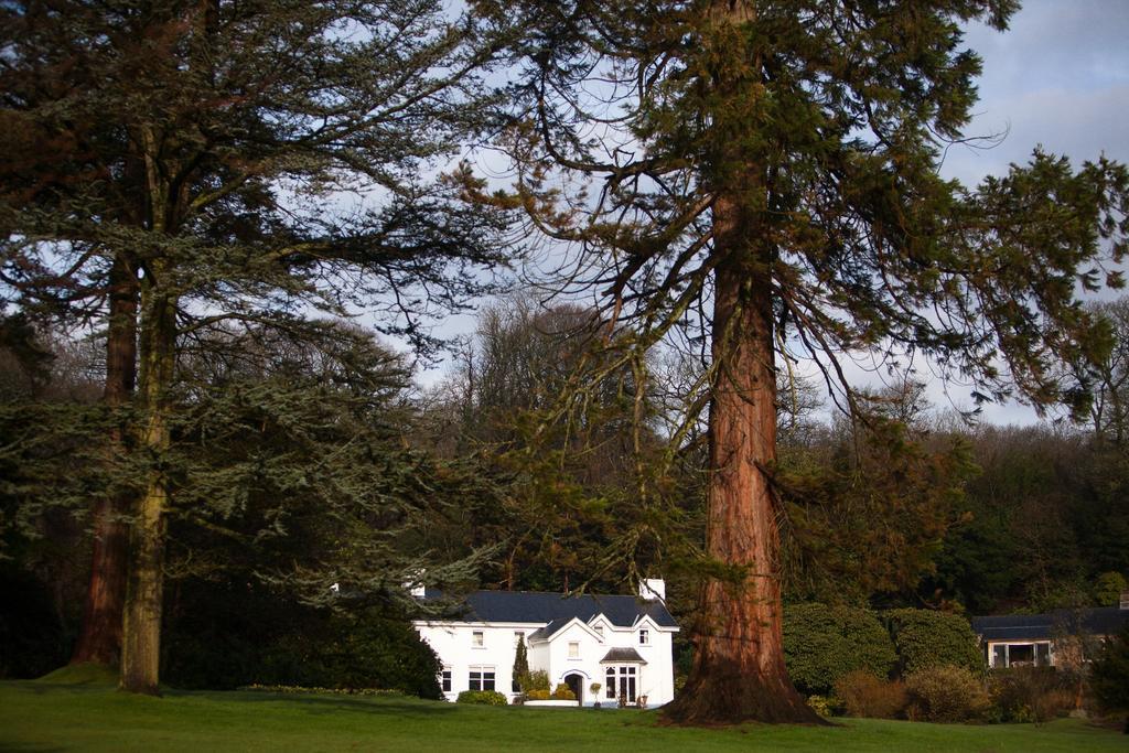 Ynyshir Restaurant And Rooms Machynlleth Exterior foto